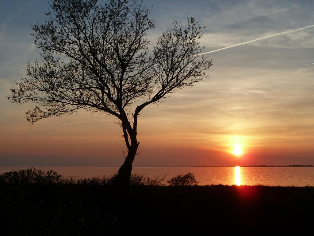 Haus Achtern Diek In Erster Reihe Am Meer Fehmarn Zewnętrze zdjęcie