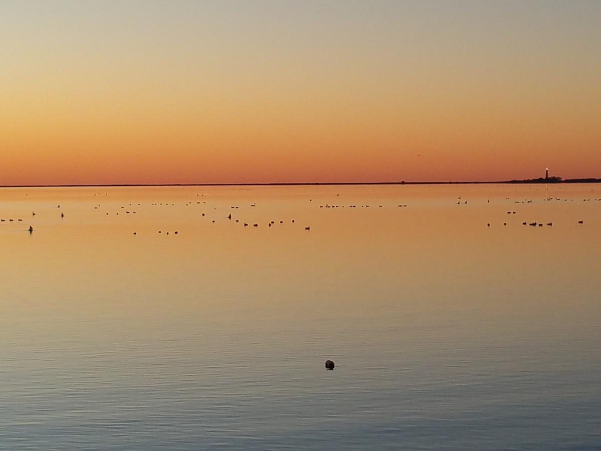 Haus Achtern Diek In Erster Reihe Am Meer Fehmarn Zewnętrze zdjęcie